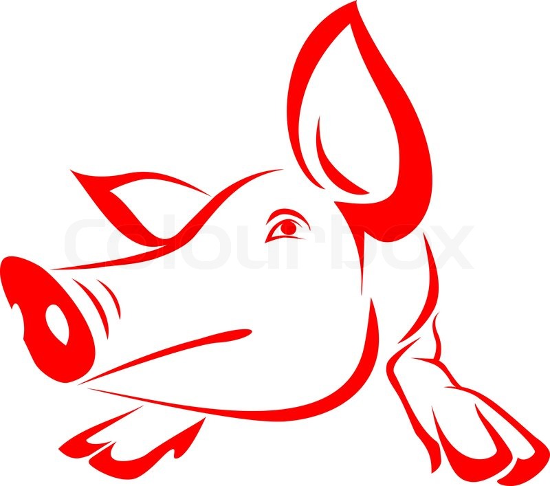 800x707 Vector Image Of An Pig Stock Vector Colourbox