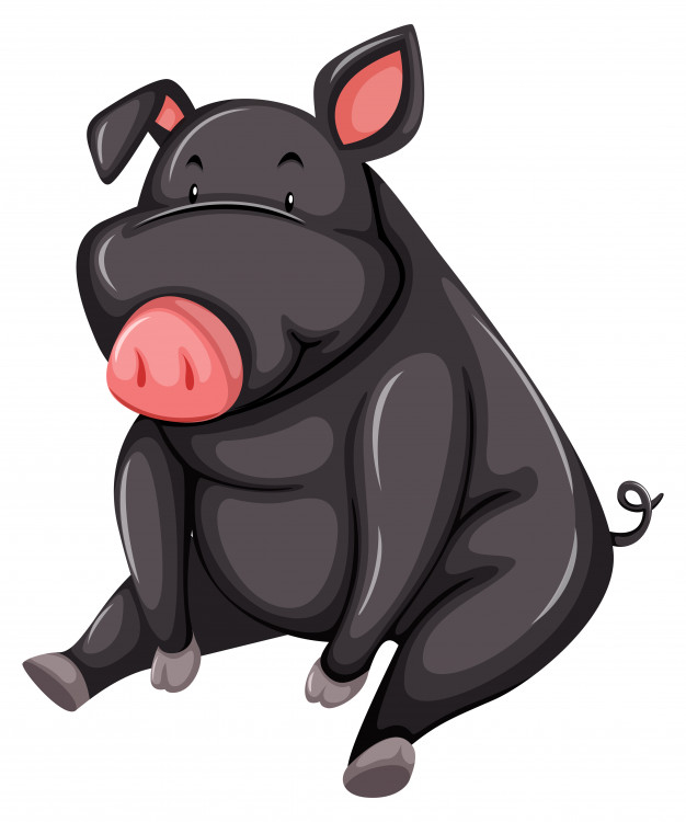 626x750 Pig Vectors, Photos And Psd Files Free Download