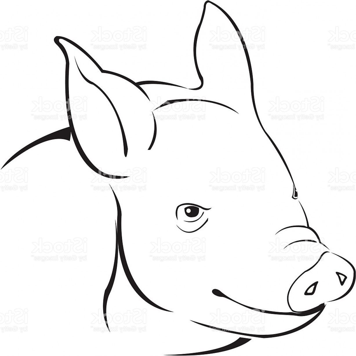1228x1228 Suddenly Simple Pig Drawing Stock Vector Art More Images Of Animal