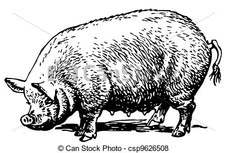450x304 Pig Vector Art Big Pig Standing Vector Search Clip Art