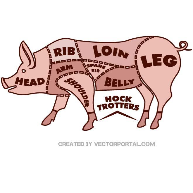 Pig Vector Free