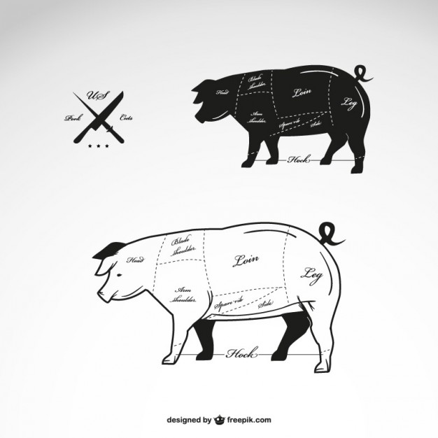 626x626 Pork Meat Diagram Vector Free Download
