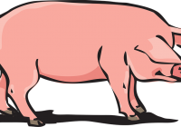 200x140 Pig Vector Art Pig Silhouette History Clipart Free Clipart Download