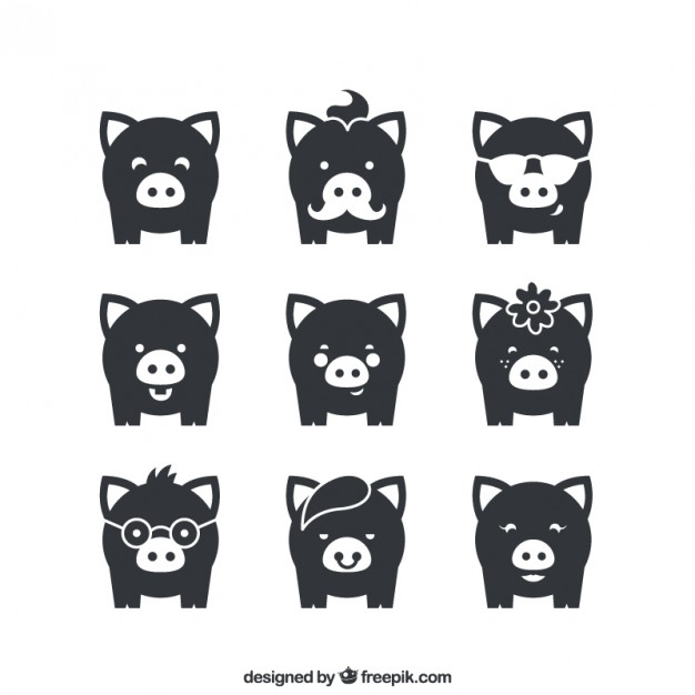 626x626 Pig Vectors, Photos And Psd Files Free Download