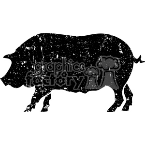 300x300 Royalty Free Distressed Pig Vector Art 403004 Vector Clip Art