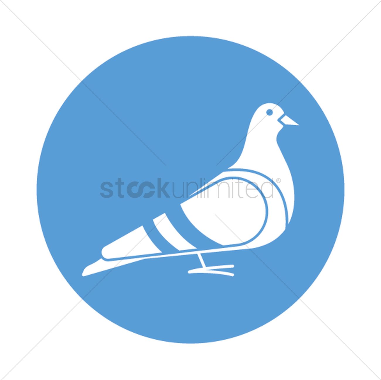 1300x1298 Pigeon Vector Image