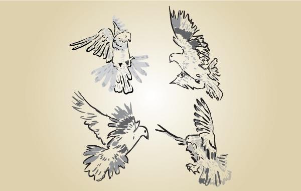 600x380 Sketchy Pigeon Vector