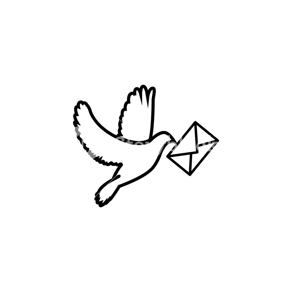 1000x1000 Postal Dove, Pigeon, Vector Illustration Royalty Free Stock Image