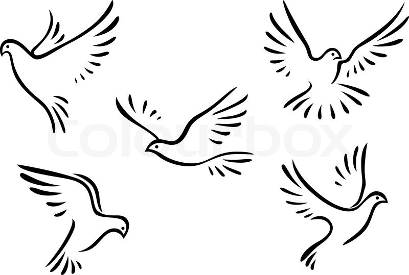 800x539 Doves And Pigeons Set For Peace Concept And Wedding Design Stock