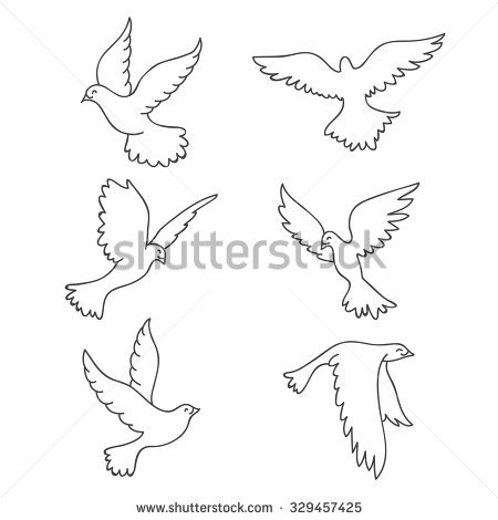 450x470 Drawn Pigeon Vector