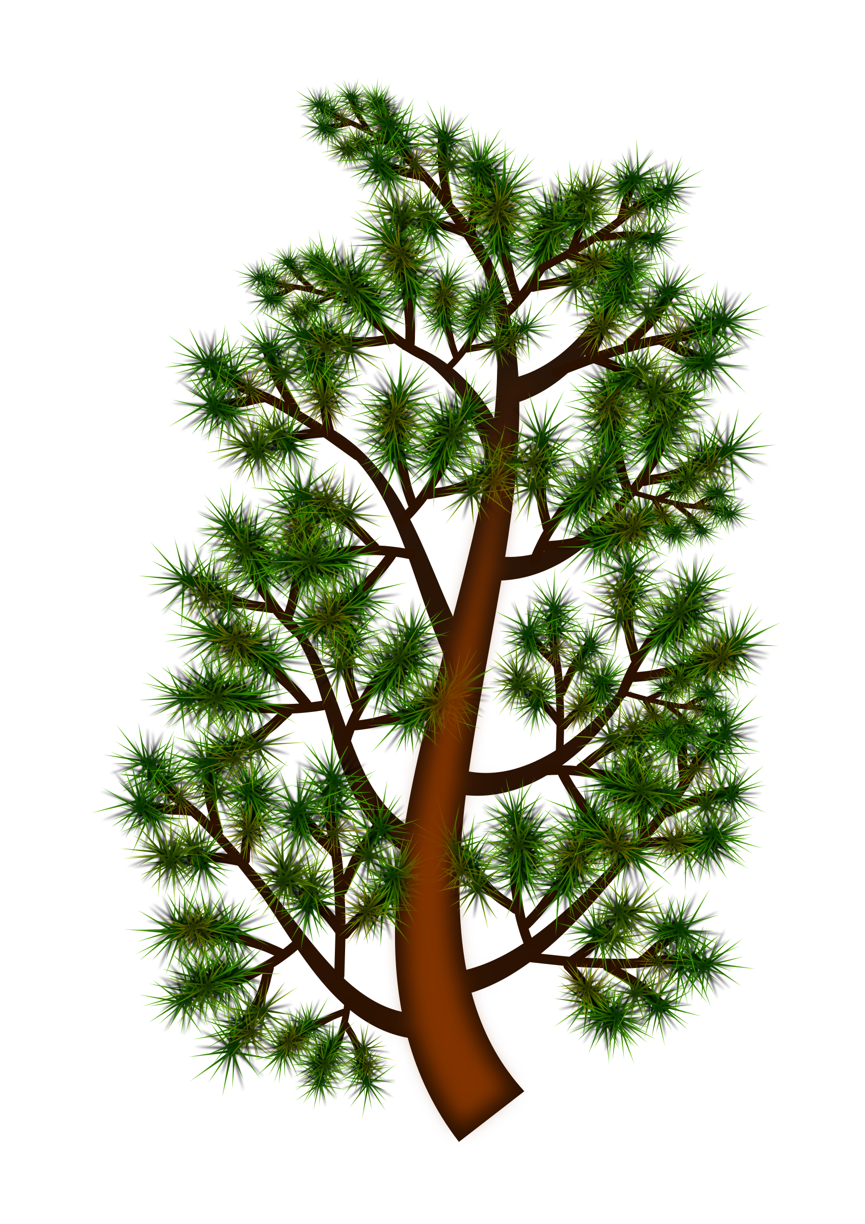1697x2400 Pine Branch Vector Clipart Image