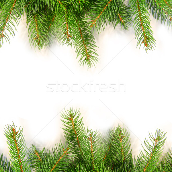 600x600 Pine Stock Photos, Stock Images And Vectors Stockfresh