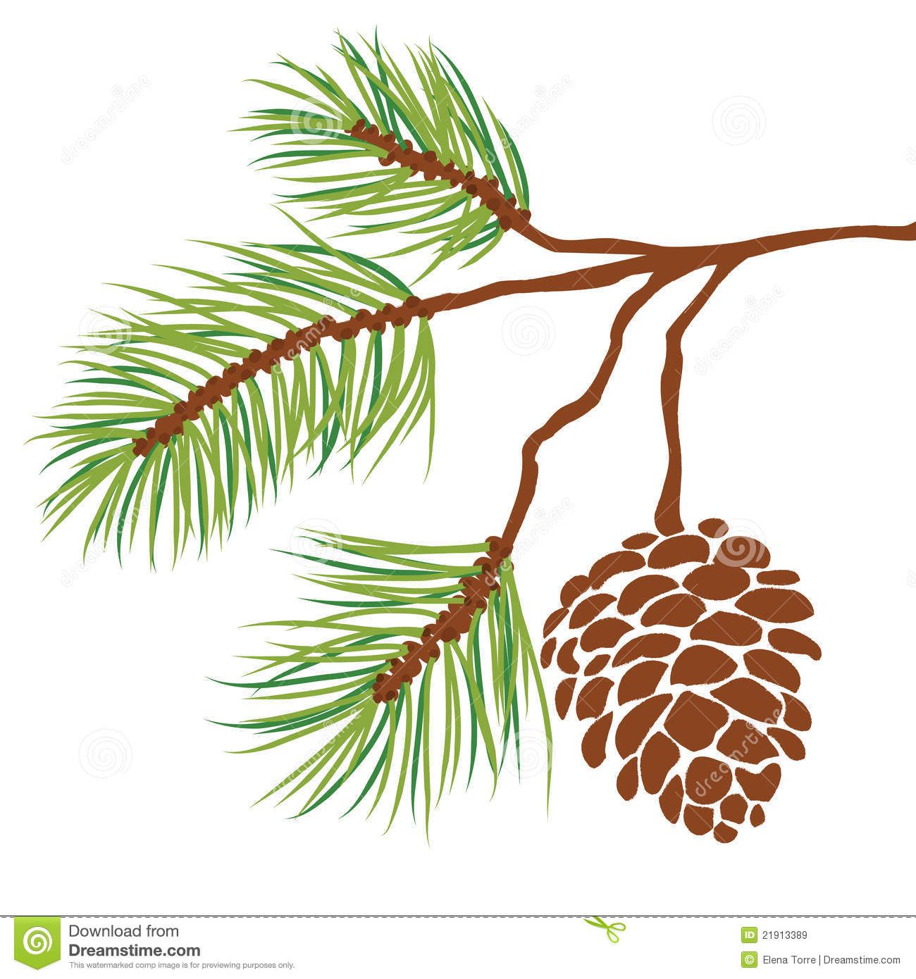 1300x1390 Pine Tree Branch And Cone Vector Royalty Free Stock Images