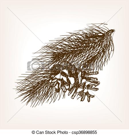 450x470 Pine Branch Sketch Style Vector Illustration. Pine Branch And