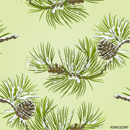 500x500 Seamless Texture Pine Branch With Snow And Pine Cone Vector