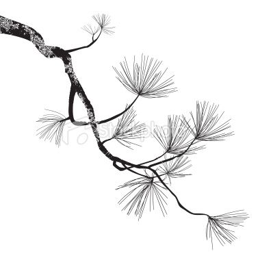 380x380 Illustration Of The Pine Branch Can Be Easy Change To Another