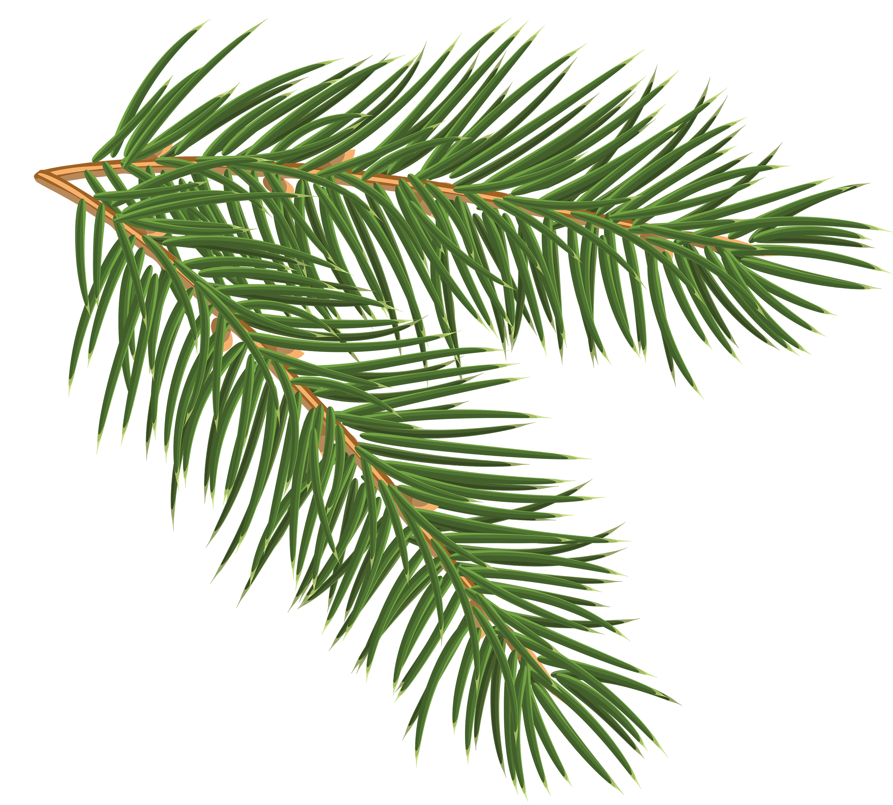 3000x2704 Branch Vector