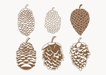 352x247 Floral Pine Cone Elements Vectors Free Vector Download 433237