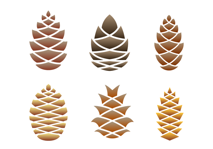 700x490 Pine Cones Logo Vector