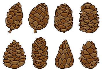 352x247 Pine Cones Set Collection Free Vector Download 441963 Cannypic