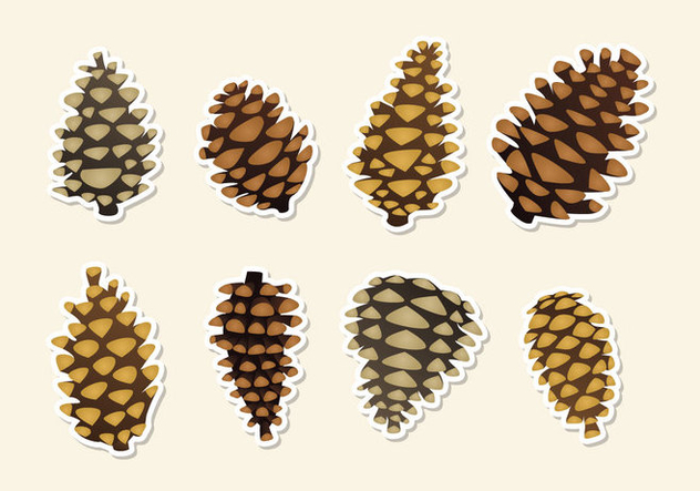 632x443 Pine Cones Vector Free Vector Download 434897 Cannypic