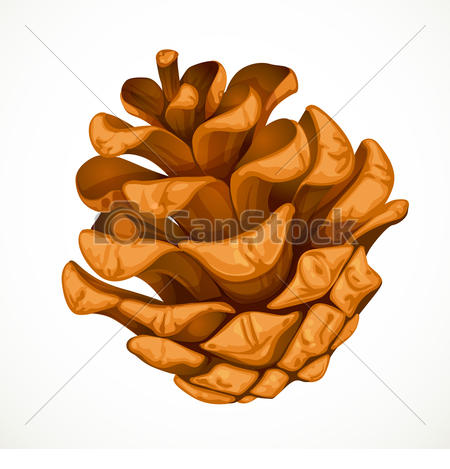 450x469 Pine Cone Isolated On White Background.