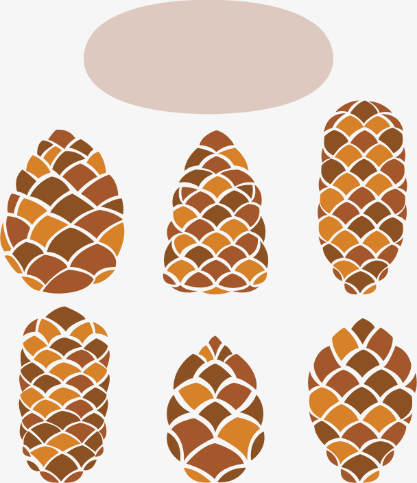 608x704 6 Creative Design Pine Cone Vector Material, Songta, Echinacea
