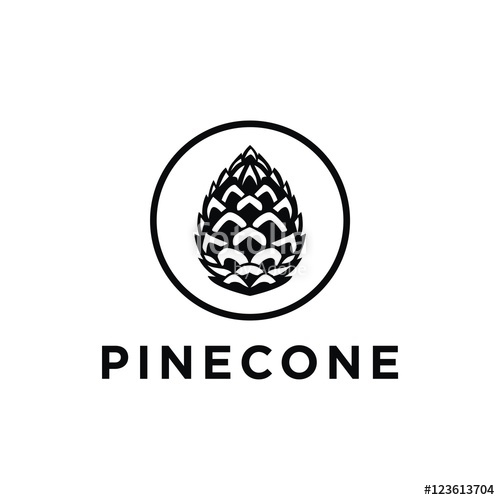 500x500 Pinecone Logo Vector Stock Image And Royalty Free Vector Files On