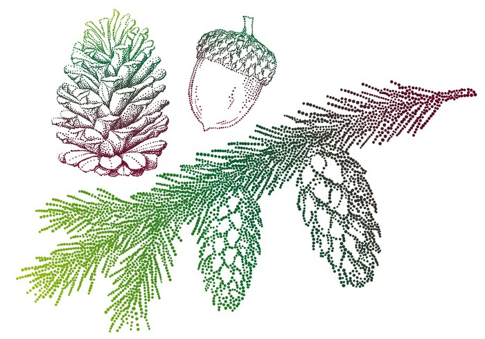 700x490 Fir Tree With Pine Cone, Vector Sticker We Live To Change