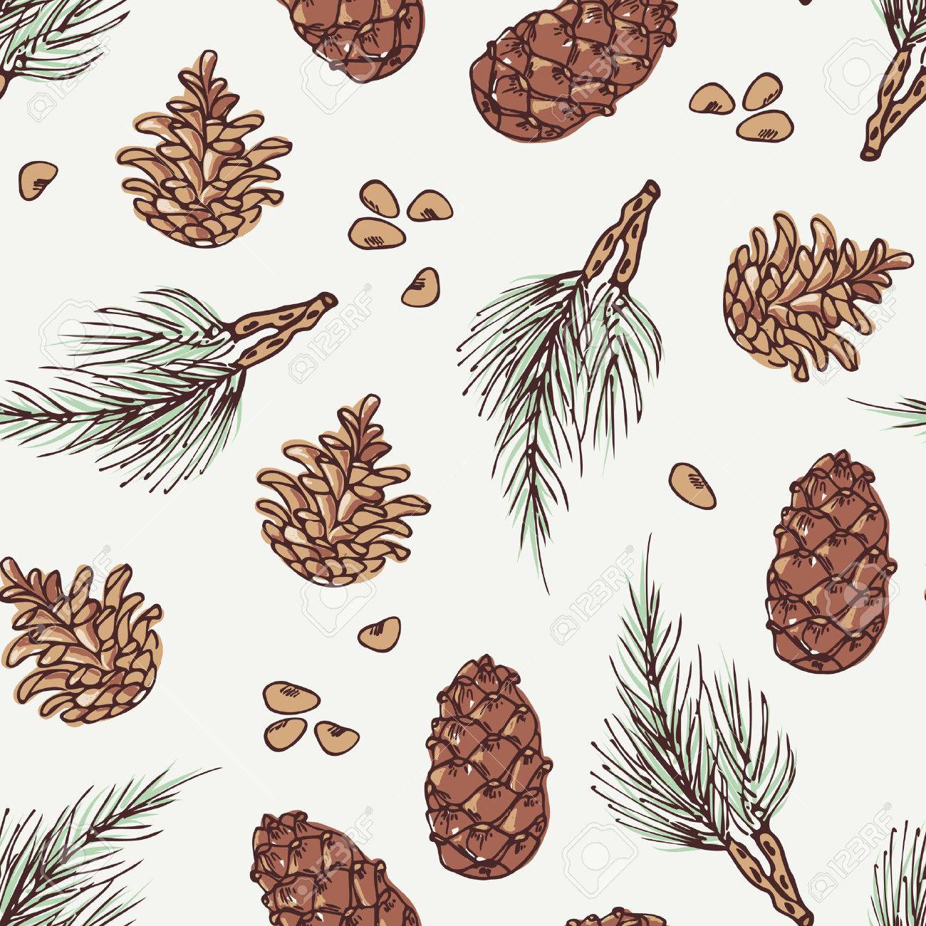1300x1300 Drawn Pine Cone Vector 2