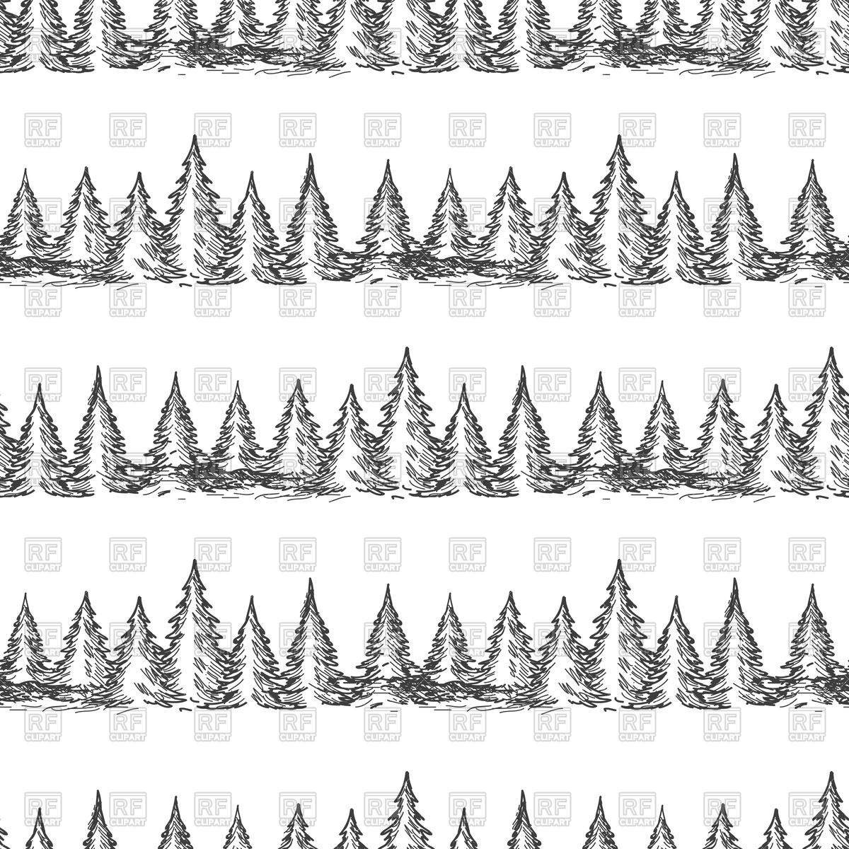 1200x1200 Hand Drawn Seamless Pine Forest Vector Image Vector Artwork Of