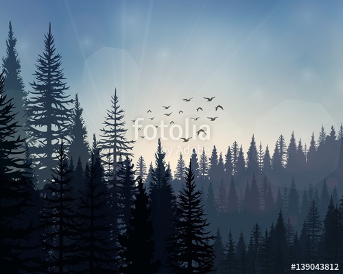 500x400 Pine Forest Landscape Background Stock Image And Royalty Free