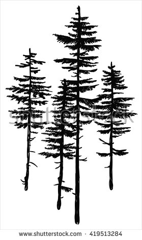 279x470 Collection Of Pine Forest Drawing High Quality, Free