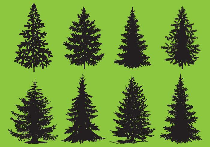 700x490 Tree Silhouette Free Vector Art 13,216 Free Images!