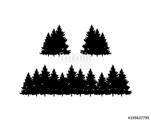 500x400 Black Pine Tree Forest Symbol Silhouette Logo Vector Stock Image