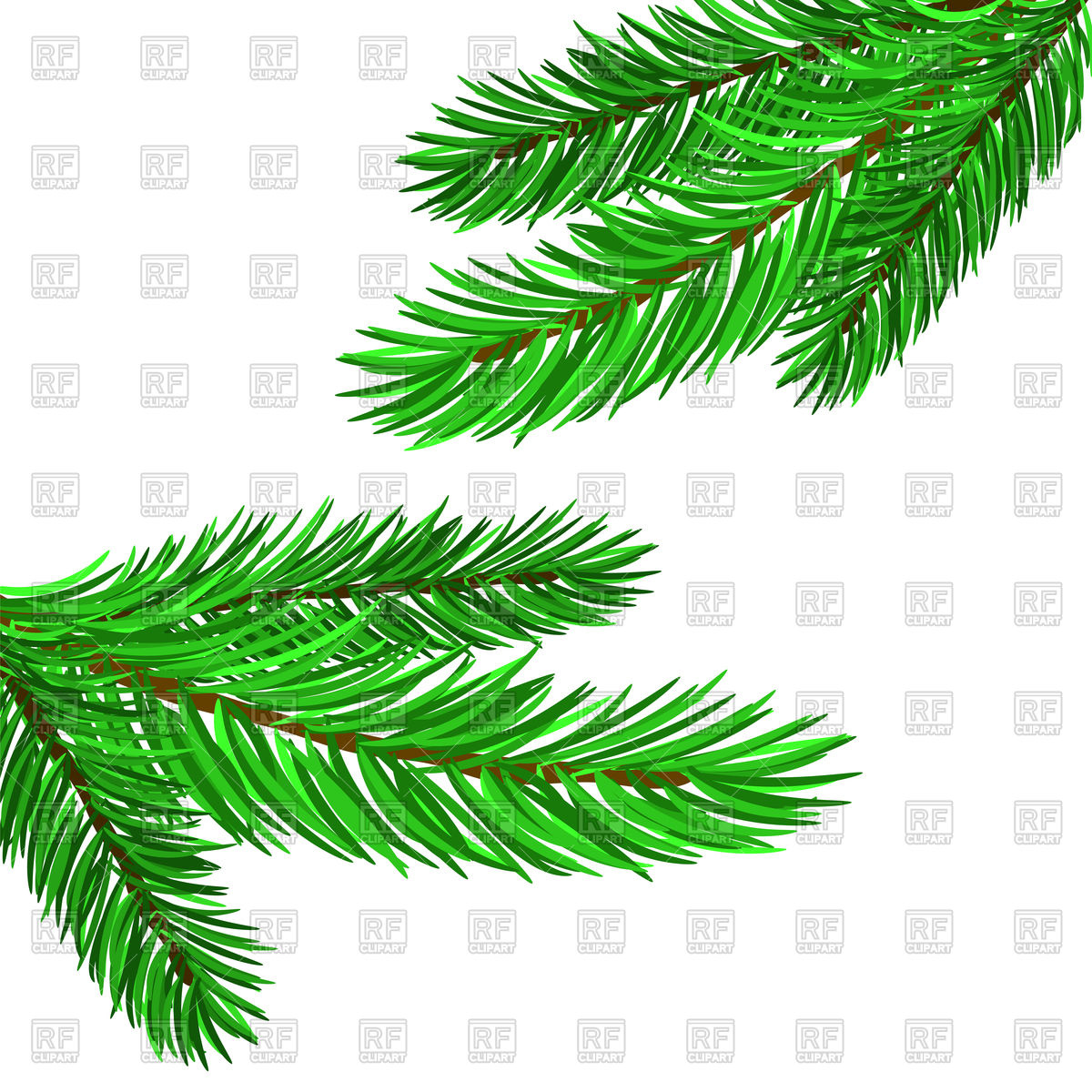 1200x1200 Fir Tree Branches Vector Image Vector Artwork Of Plants And
