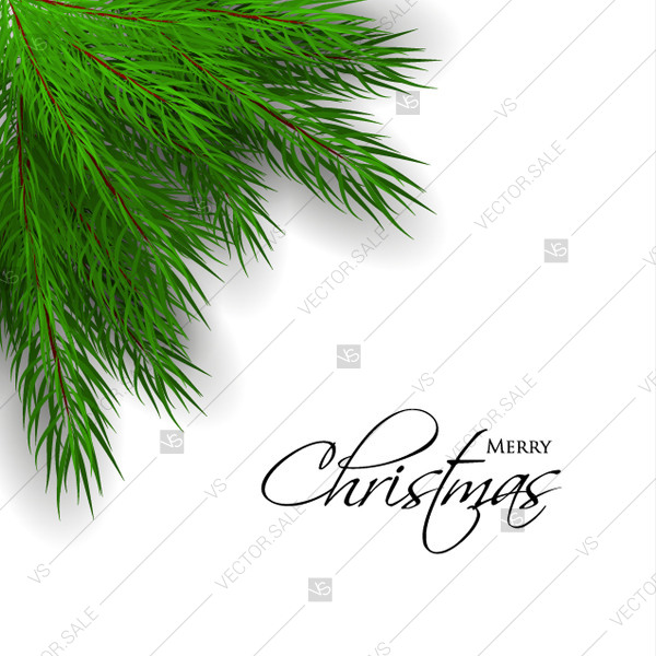 600x600 Merry Christmas Greeting Card With Green Fir Tree Branch. Vector