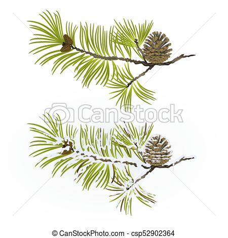 450x470 Pine Tree Branch And Pine Cone Autumnal And Winter Snowy Vector