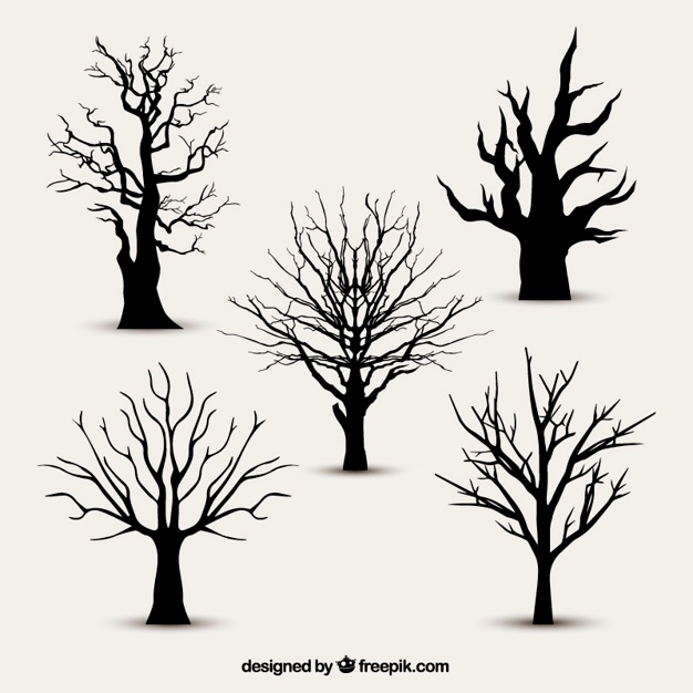 626x626 Tree Branch Vectors, Photos And Psd Files Free Download