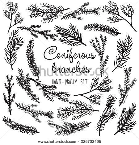 450x470 Vector Pine Tree Branches Set Black Silhouettes Isolated On White