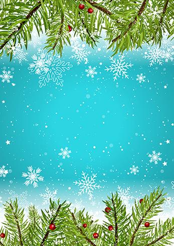 347x490 Christmas Background With Snowflakes And Pine Tree Branches