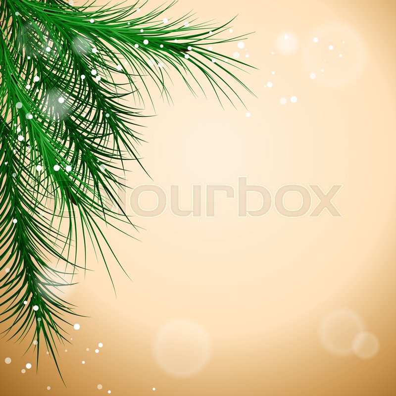 800x800 Christmas Green Framework With Pine Tree Branch, Vector