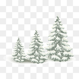 260x260 Pine Tree Vectors, 97 Graphic Resources For Free Download