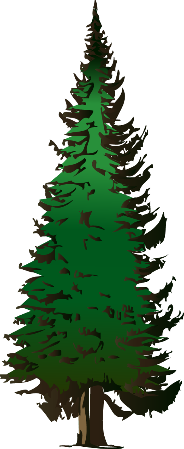 640x1560 Red Pine Tree Vector Transparent Stock