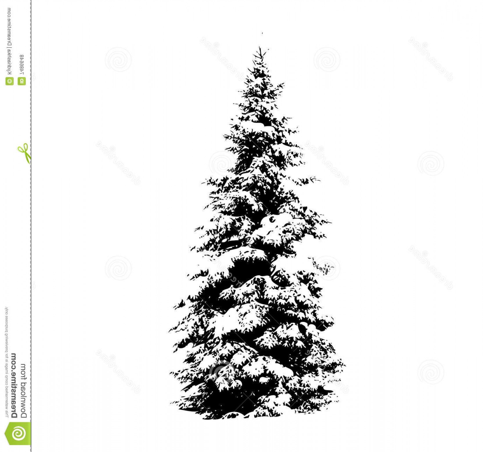 1666x1560 Royalty Free Stock Photos Pine Tree Vector Illustration Image