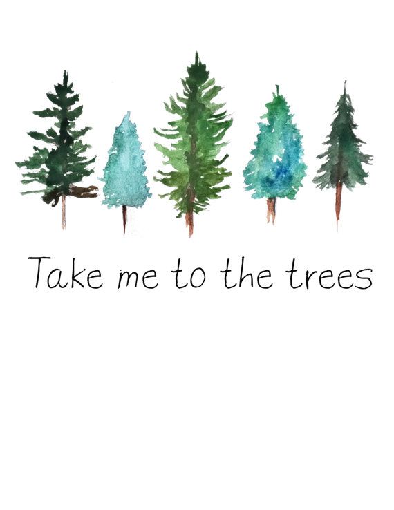 570x738 Take Me To The Trees Watercolor Pine Trees Art Print Pine Tree