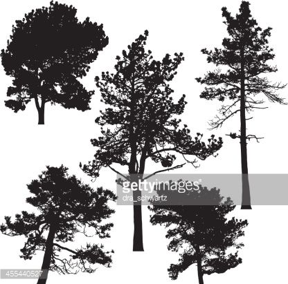 416x411 Vector Art Pine Trees, Vector Projekty Do