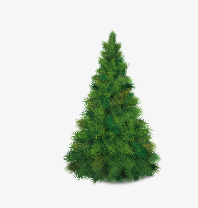 650x685 A Pine Tree Vector, Tree Vector, Tree Clipart, Free Png Fig. Png