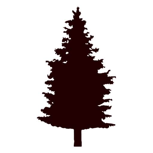 512x512 Pine Fir Tree Conifers