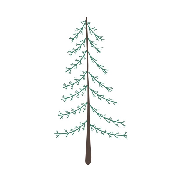 626x626 Pine Tree Vector Vectors, Photos And Psd Files Free Download